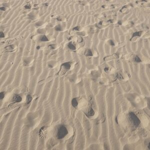 RICCIONE (RN), ITALY - MARCH 25: Footprints on the beach in Riccione (RN), Italy on March 25. In this period work is being done to arrange the bathhouse in view of the possible summer opening. (Photo by Davide Bertuccio for The Washington Post)